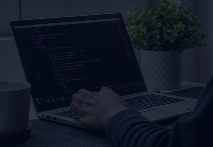Web Development
